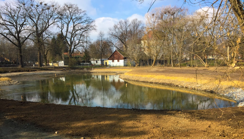 Zooteich Hoyerswerda