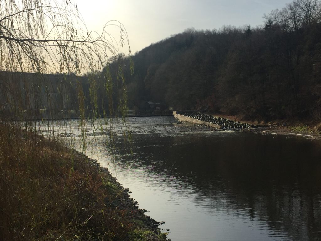 HWSB Sedimentberäumung der Zschopau in Limmritz
